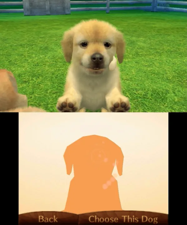 Nintendogs + Cats: Golden Retriever & New Friends screenshot