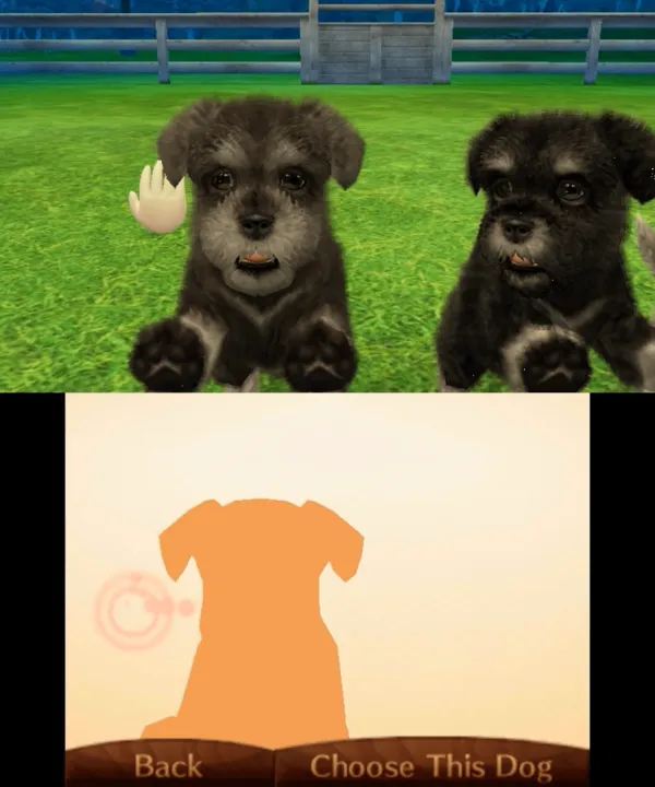 Backdrop artwork for Nintendogs + Cats: Toy Poodle & New Friends