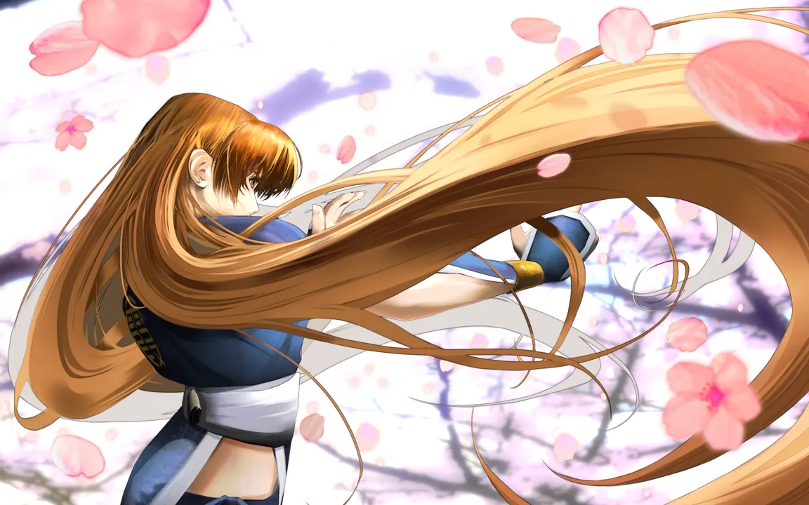 Backdrop artwork for Dead or Alive: Dimensions