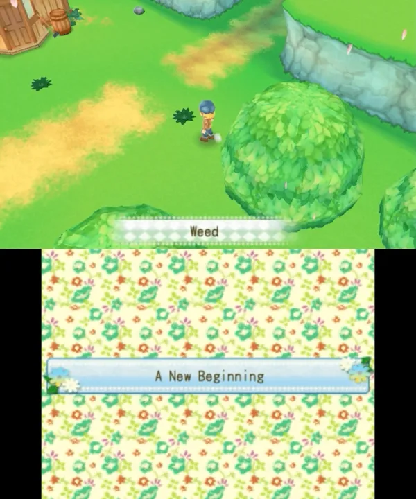 Harvest Moon 3D: A New Beginning screenshot