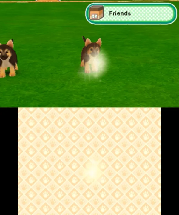 Backdrop artwork for Puppies 3D