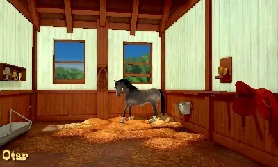 2in1 Horses 3D Vol.3 - My Riding Stables 3D - Jumping for the Team and My Western Horse 3D screenshot