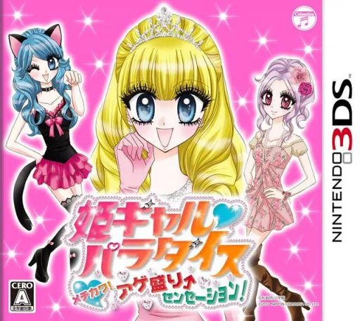 Backdrop artwork for Hime Girl Paradise - Mechikawa! Agemori Sensation!