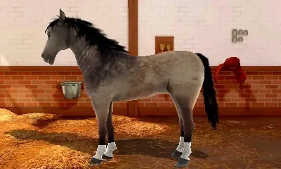 2in1 Horses 3D Vol.2 - Rivals in the Saddle and Jumping for the Team 3D screenshot