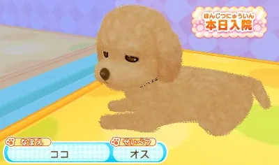Wan Nyan Doubutsu Byouin - Suteki na Juui-san ni Narou! screenshot