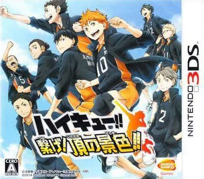 Backdrop artwork for Haikyu!! Tsunage! Itadaki no Keshiki!!