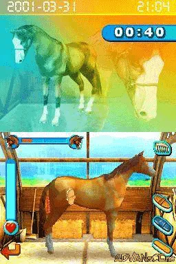 Backdrop artwork for Horsez