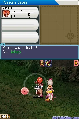 Ragnarok DS screenshot