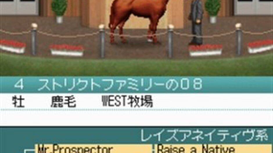 Backdrop artwork for Derby Stallion DS
