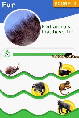 Animal Genius screenshot