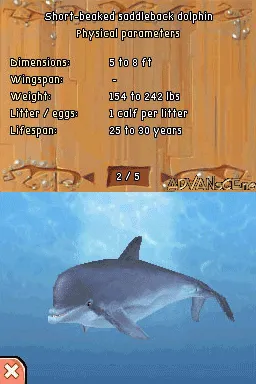 Backdrop artwork for Petz Wild Animals Dolphinz