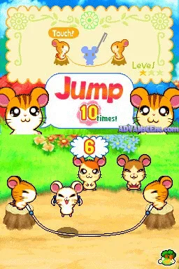 Hi! HamTaro: Ham-Ham Challenge screenshot