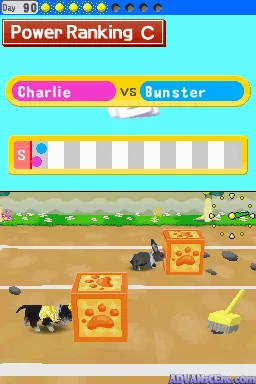 My Pet Shop screenshot