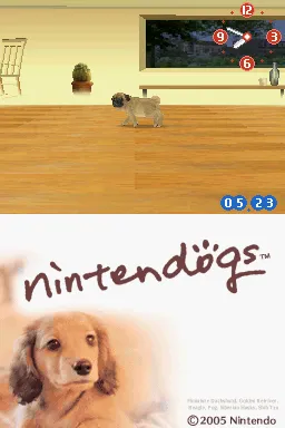 Nintendogs: Dachshund & Friends screenshot
