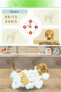 Nintendogs: Dachshund & Friends screenshot