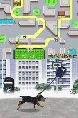 Nintendogs: Chihuahua & Friends screenshot