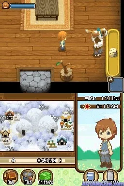 Harvest Moon DS: Tale of Two Towns screenshot