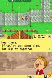 Harvest Moon DS screenshot