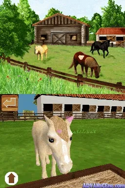 Backdrop artwork for Discovery Kids: Pony Paradise