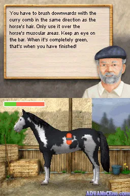 Backdrop artwork for Dreamer Series: Horse Trainer