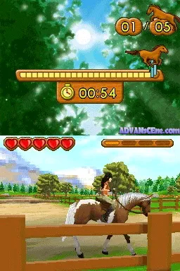 Backdrop artwork for Ener-G: Horse Riders