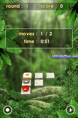 Backdrop artwork for Zenses: Rainforest