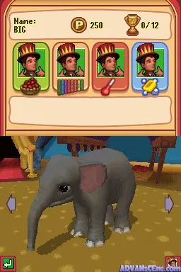 Ringling Bros. and Barnum & Bailey: Circus Friends: Asian Elephants screenshot