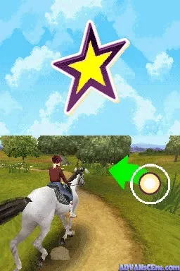 Backdrop artwork for Horse Life: Adventures