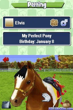 Pony Friends screenshot