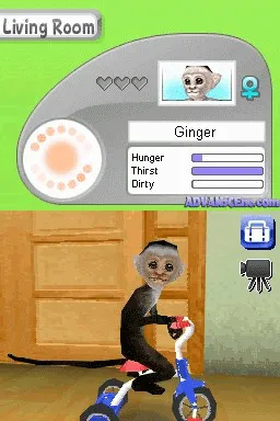 Petz: Monkeyz House screenshot