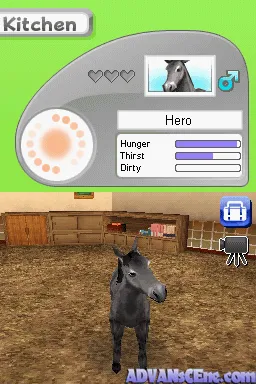 Backdrop artwork for Petz Horseshoe Ranch