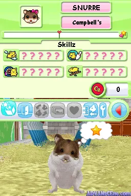 Petz Hamsterz Superstars screenshot