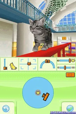 Backdrop artwork for Petz Catz Playground