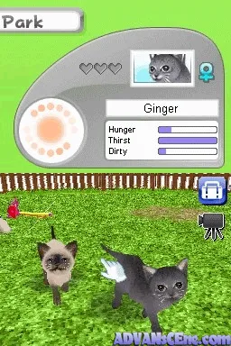 Backdrop artwork for Petz: Catz Clan
