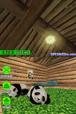 National Geographic Panda screenshot