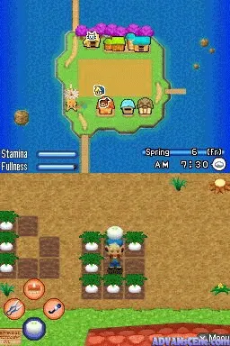 Harvest Moon DS: Sunshine Islands screenshot
