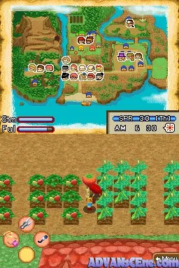 Harvest Moon DS: Island of Happiness screenshot