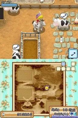 Harvest Moon DS: Grand Bazaar screenshot
