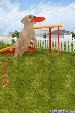 Backdrop artwork for Petz: Dogz Talent Show
