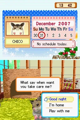 Hamsterz Life screenshot