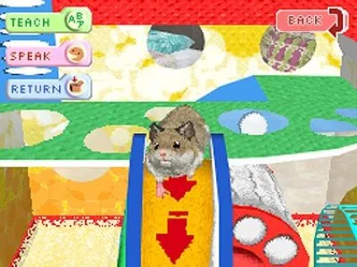 Backdrop artwork for Hamsterz Life
