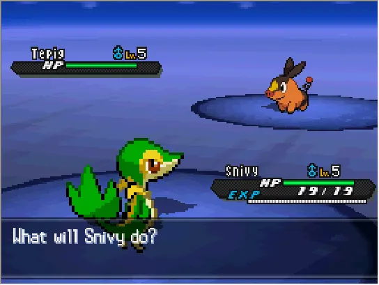 Pokémon Black Version screenshot