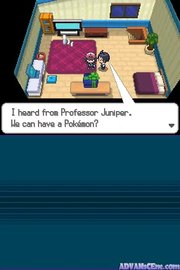 Pokémon White Version screenshot
