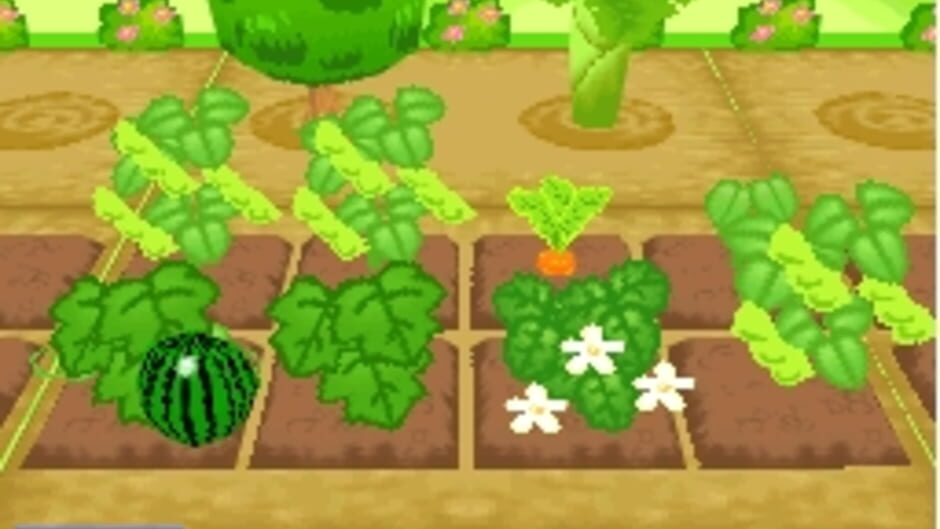 Mamegoma 3 - Kawaii ga Ippai! screenshot