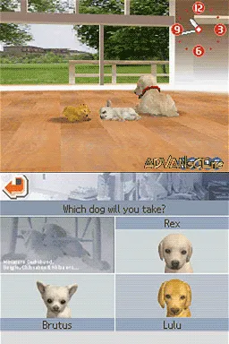 Nintendogs: Lab & Friends screenshot