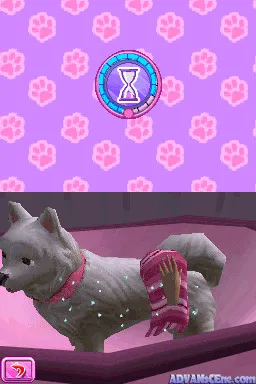 Backdrop artwork for Barbie: Groom and Glam Pups