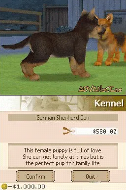 Nintendogs: Best Friends screenshot