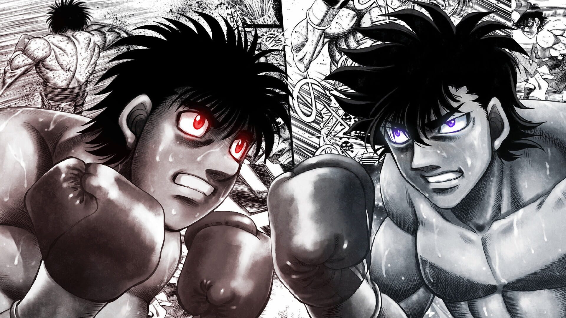 Backdrop artwork for Hajime no Ippo - The Fighting! DS
