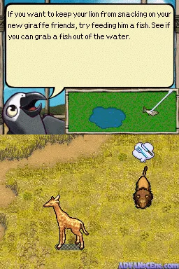 SimAnimals: Africa screenshot