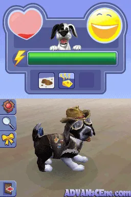 Backdrop artwork for The Sims 2: Apartment Pets